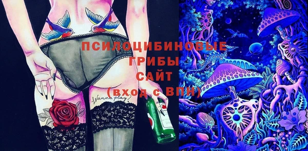 стафф Богородицк